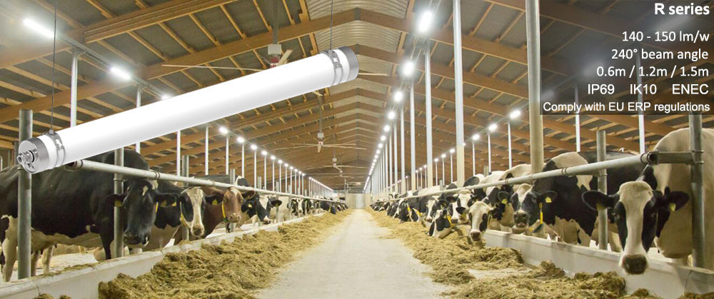 Poultry Farm R Series LED Tri Proof Light 240 Degrees Ammonia Corrosion Resistance