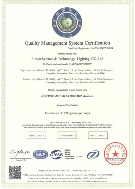 Fulton Science and Technology Lighting Co., Ltd.
